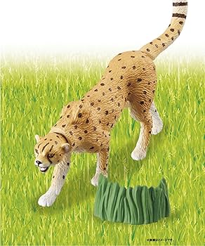 アニア アニア AL-18 アトラスオオカブト｜アニア アニマル
